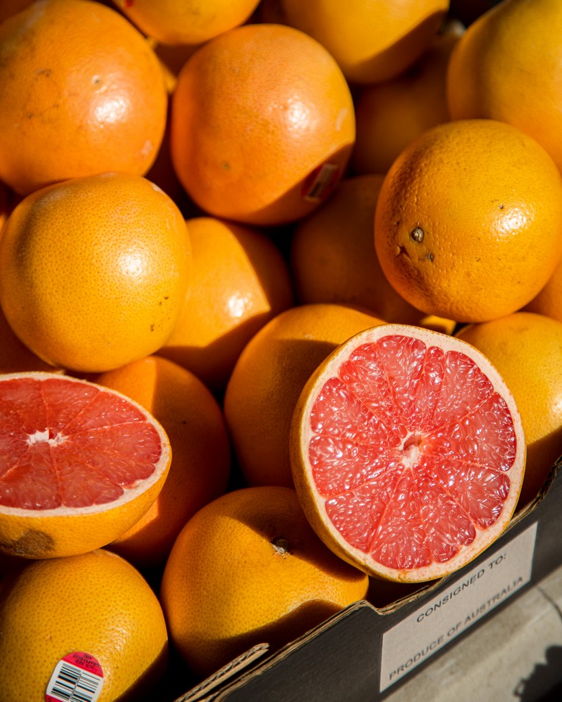 Milton Photo Options (12)